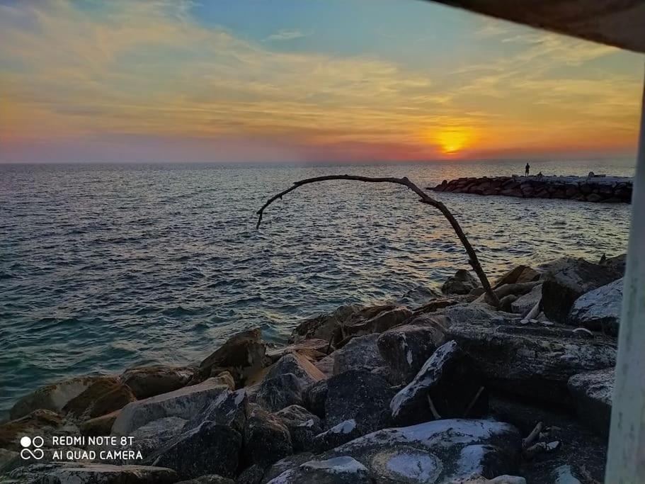 Casa Vacanze Marina Di Pisa Catola Экстерьер фото