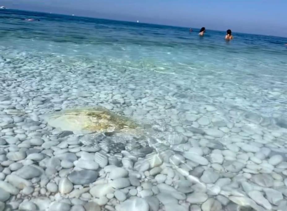 Casa Vacanze Marina Di Pisa Catola Экстерьер фото